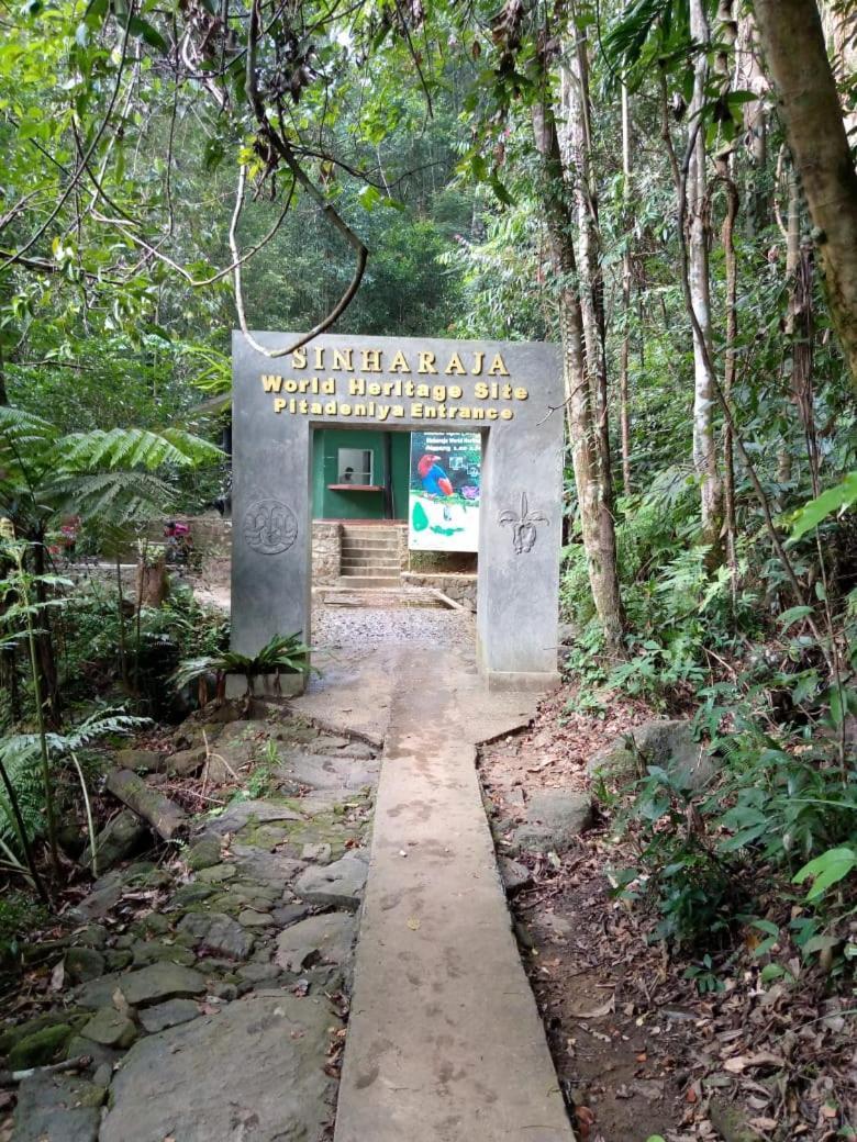 Sunshine Forest Lodge - Sinharaja Deniyaya Kültér fotó
