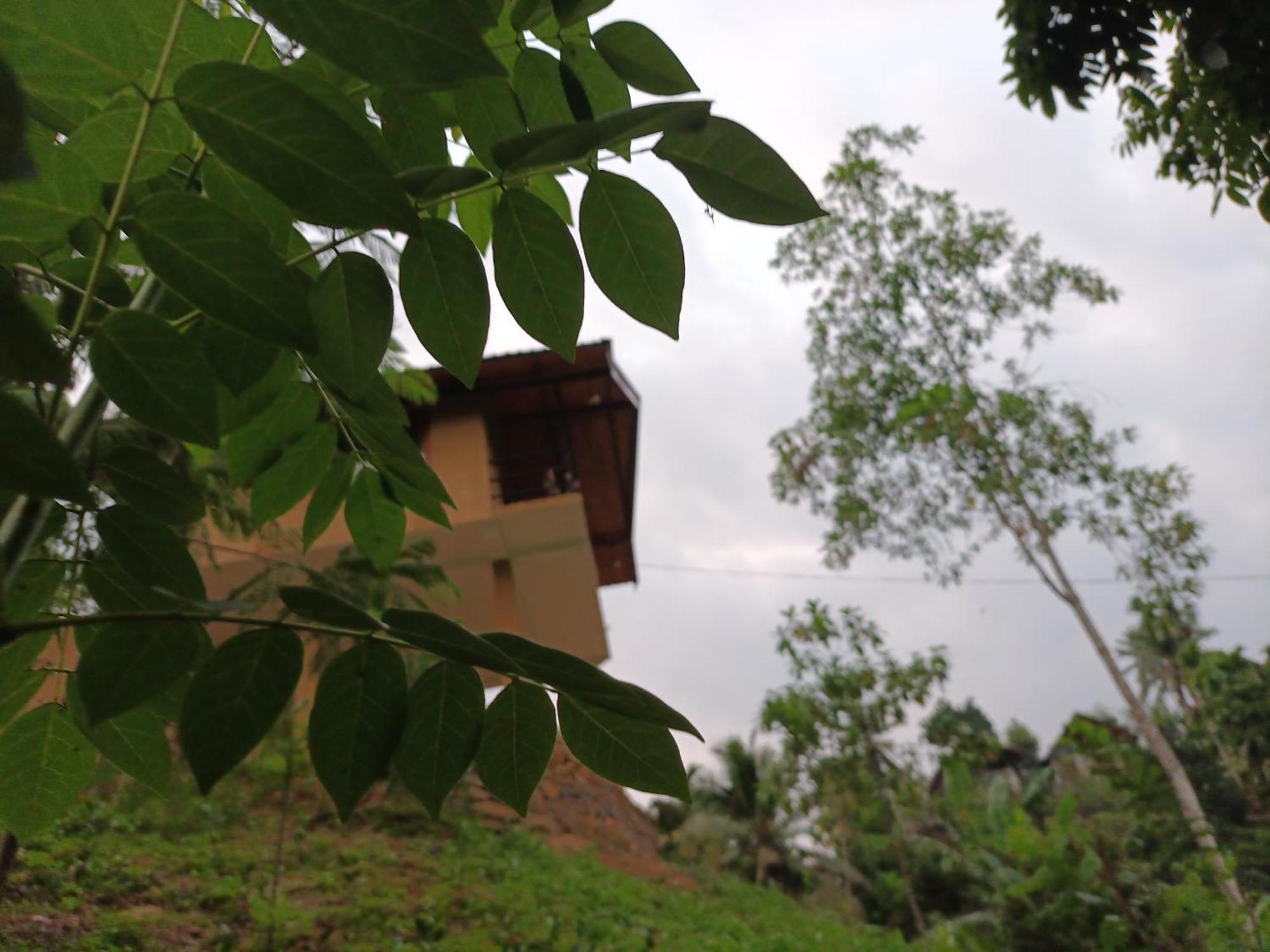 Sunshine Forest Lodge - Sinharaja Deniyaya Kültér fotó