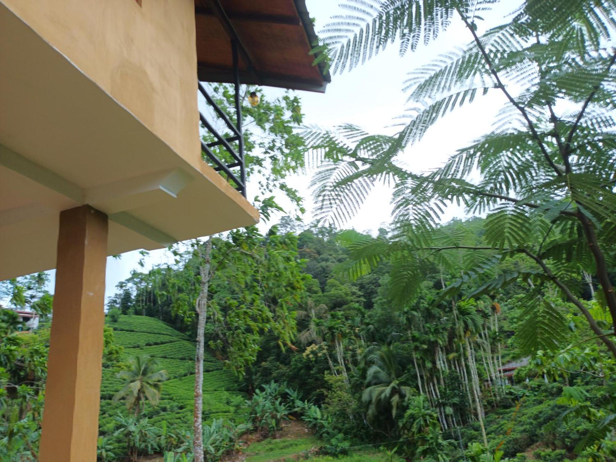 Sunshine Forest Lodge - Sinharaja Deniyaya Kültér fotó