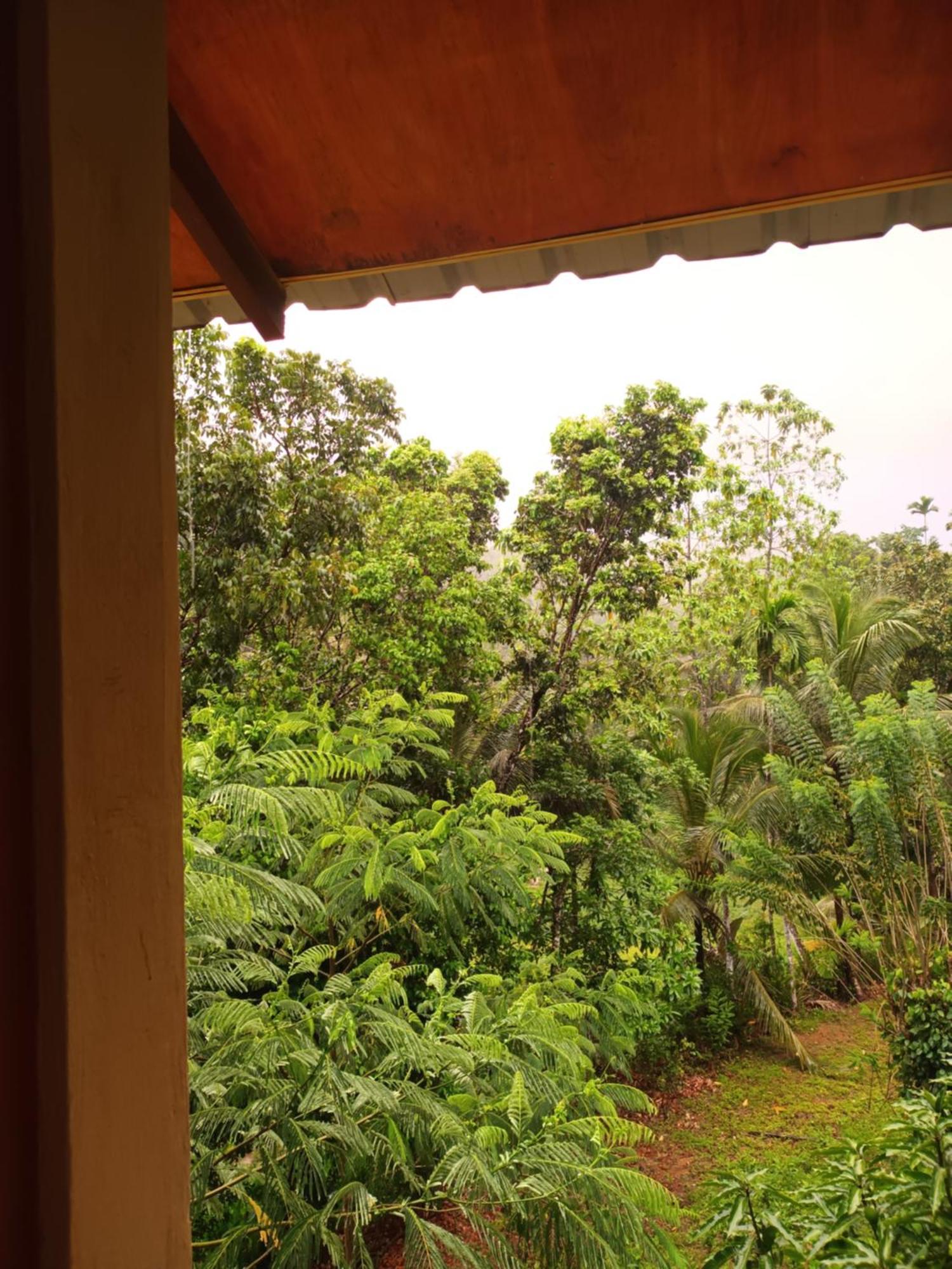 Sunshine Forest Lodge - Sinharaja Deniyaya Kültér fotó
