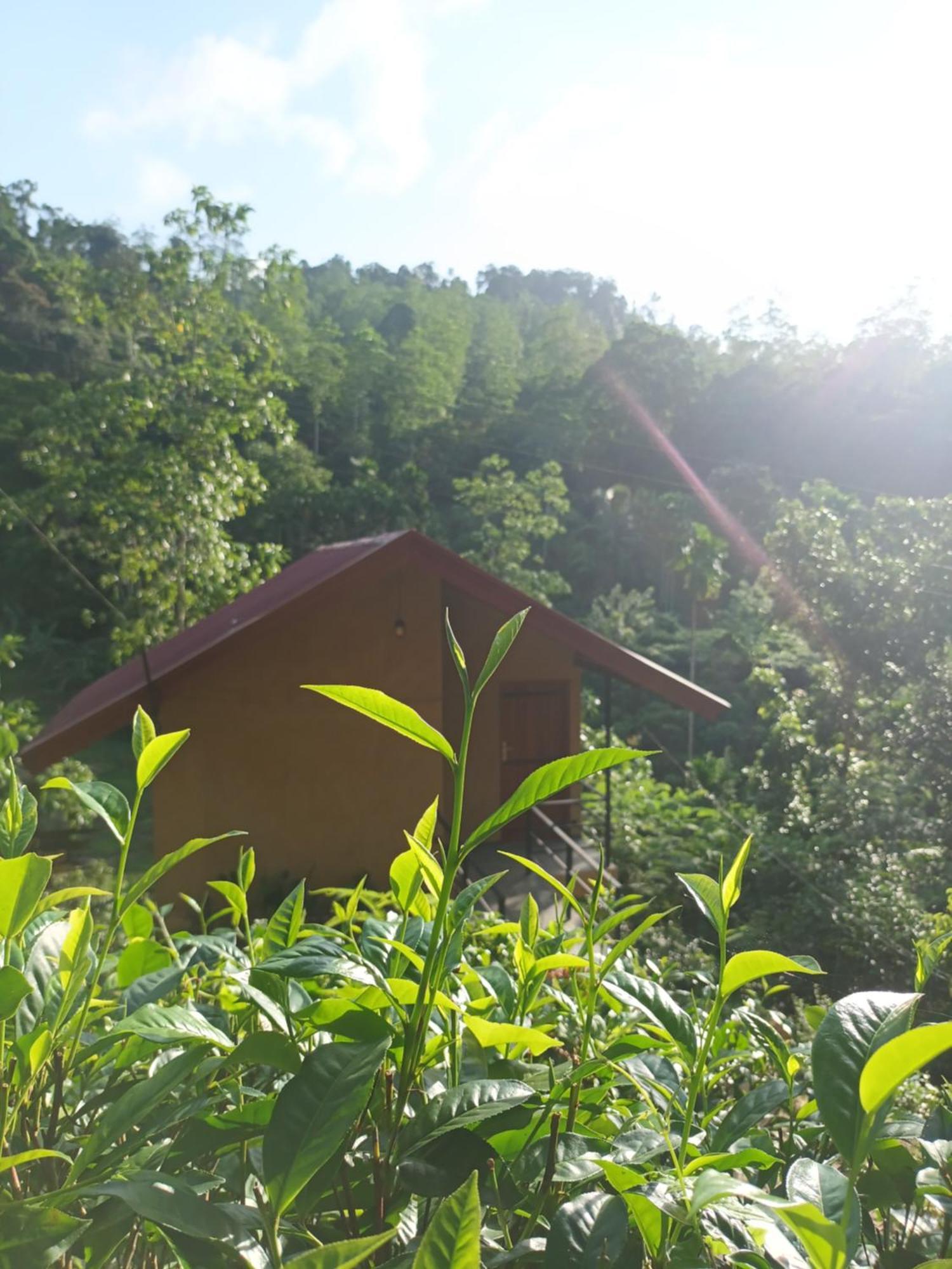 Sunshine Forest Lodge - Sinharaja Deniyaya Kültér fotó