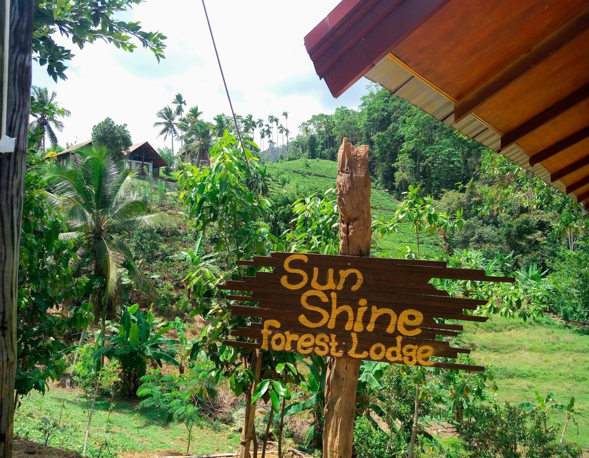 Sunshine Forest Lodge - Sinharaja Deniyaya Kültér fotó